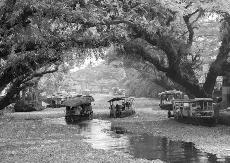 India - 4-Day Munnar to Alleppey Itinerary: Discover the Best of India's Backwaters - JoinMyTrip