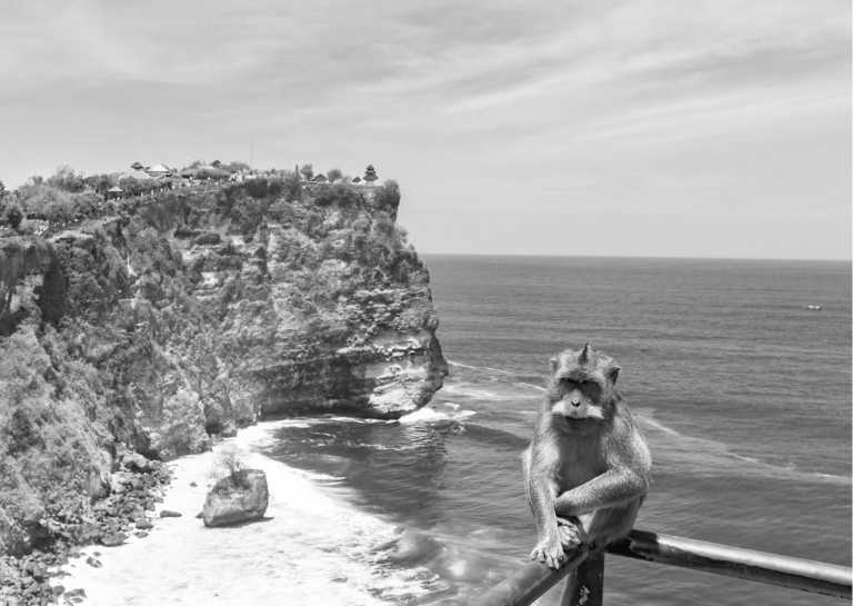 Indonesia - 10-Day Bali, Indonesia Adventure: Create Unforgettable Memories in the Island Paradise - JoinMyTrip