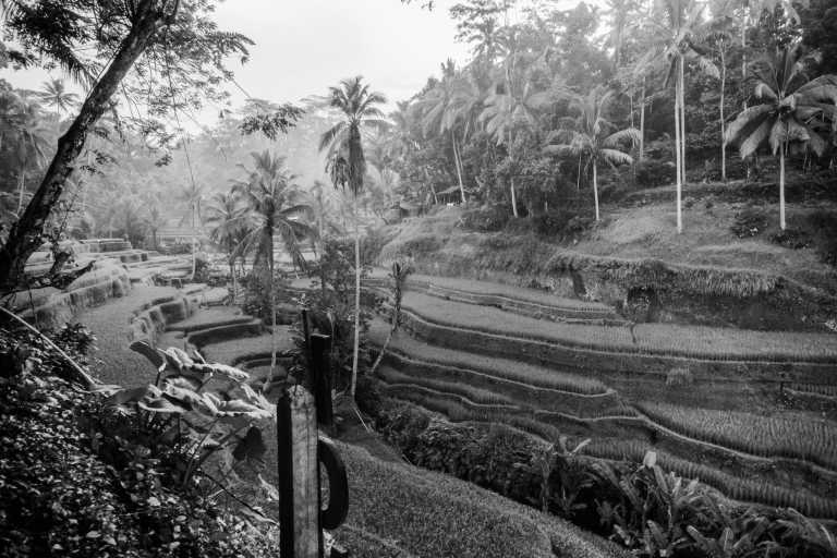 Indonesia - Ubud - Luxury Trip to Bali - stay in a Villa in Ubud, explore Nusa Penida, Canggu & discover local Balinese culture - 1