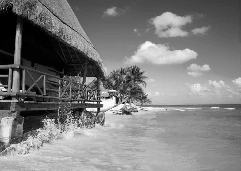 Mexico - Nature Retreat in Mexico, Playa del Carmen 🇲🇽 Cleansing Ritual, Detox, Culture, Food and more! 🌴 - JoinMyTrip