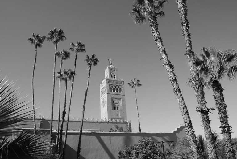 Morocco - Morocco Adventure Trip 🇲🇦 Explore like a Local! (private room) - JoinMyTrip