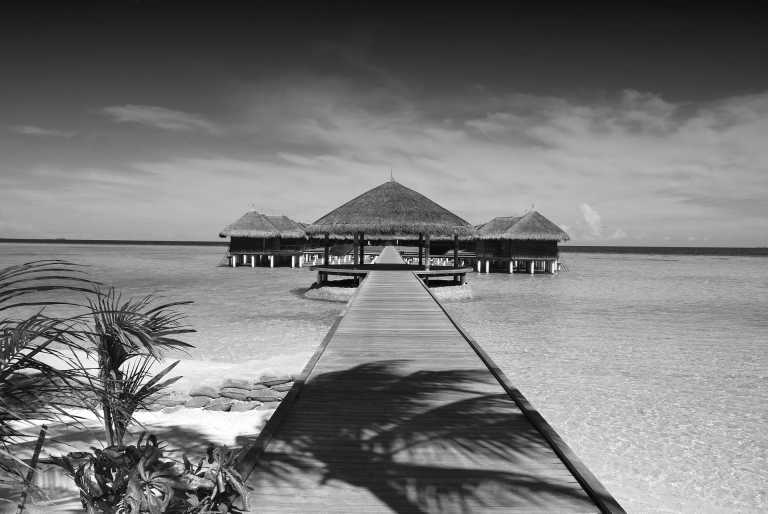 Malediven - Maldives Getaway 🌴✨ | Beach, Bikes & Blue Water (SHARED room) - JoinMyTrip