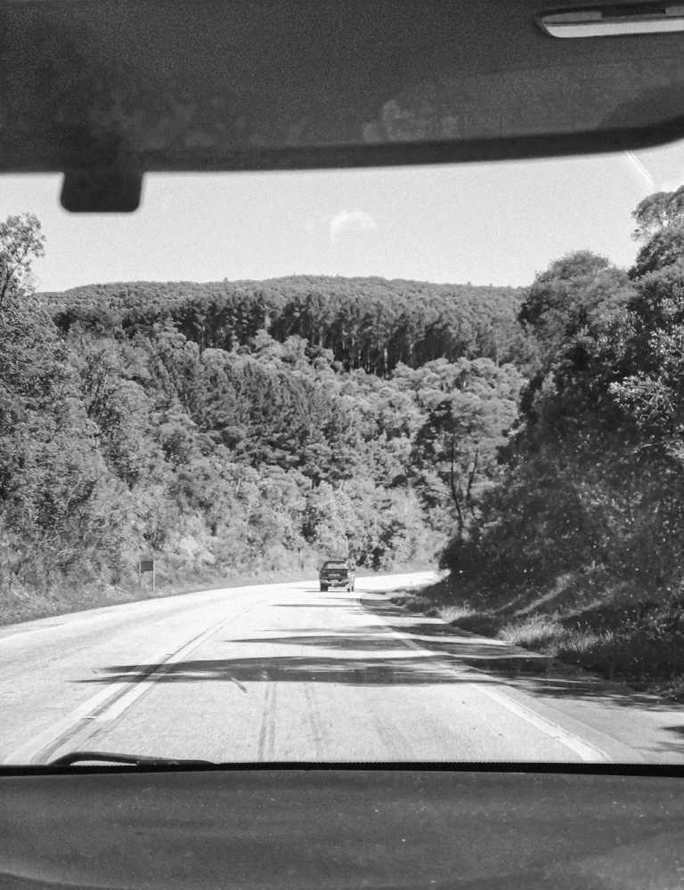 Brazil - Garopaba - Into the Wild: Brazil’s Southern Jungle Adventure with a Local - 3
