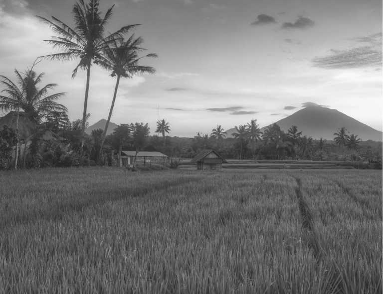 Indonesia - Bali Yoga Retreat - The Island of the Gods - JoinMyTrip