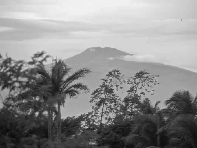 Cameroon - Debundscha - Discover Cameroon with a local. History, Culture, Food and much more! 🧗 - 2