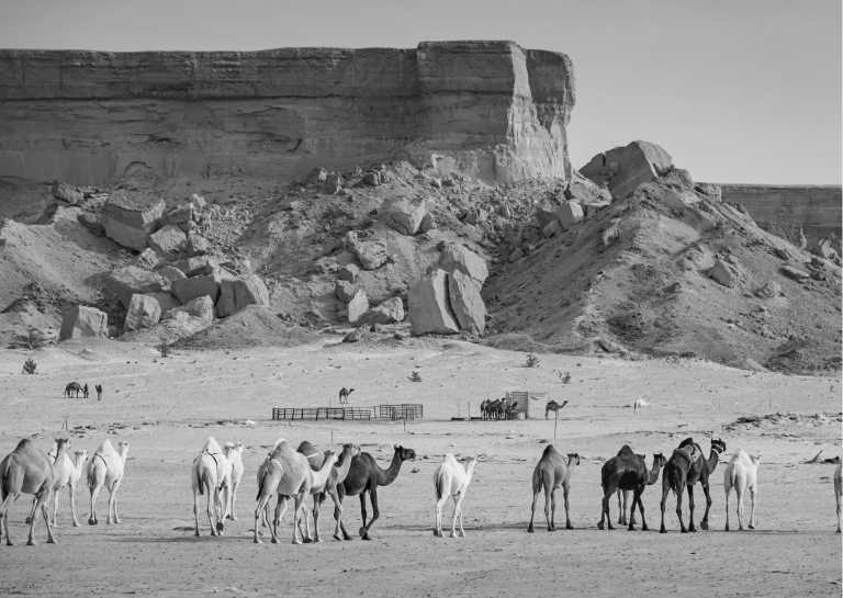 Saudi-Arabien - Saudi Arabia 🐪: Road trip through the UNESCO's AlUla, Edge of the world, 🌋 Lava fields, 🥾 Canyon hike, Culture 🇸🇦 - JoinMyTrip