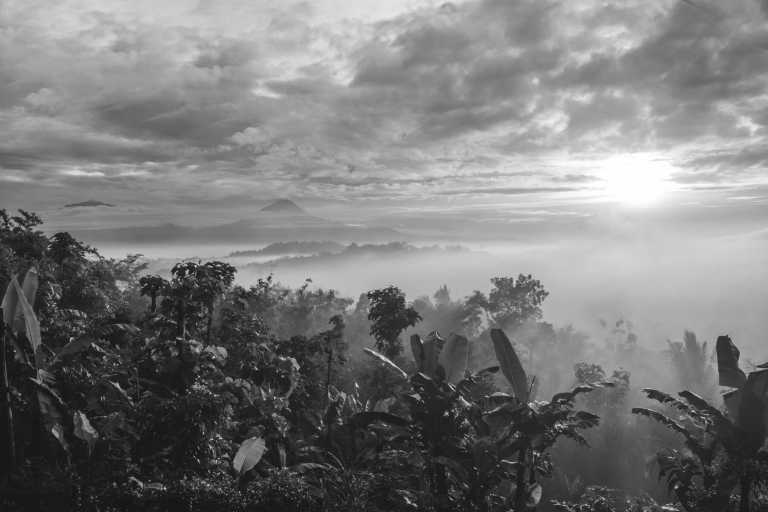 Indonesia - Yogyakarta International Airport - Experience the Best of Borobudur and Hike Mt. Prau in 5 Days - An Outdoor Adventure in Indonesia