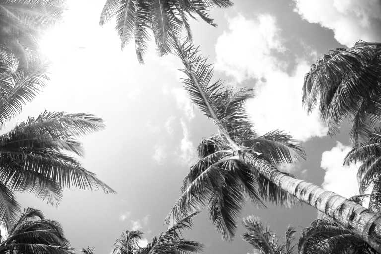 Karibik - Die schönsten Inseln der Karibik - Segeln, schnorcheln und feiern! - JoinMyTrip