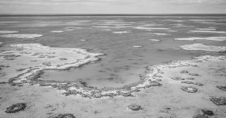 Australien - 🌊 Coral Coast On the Road 🌴Adventure Road Trip from Cairns to Sydney - JoinMyTrip