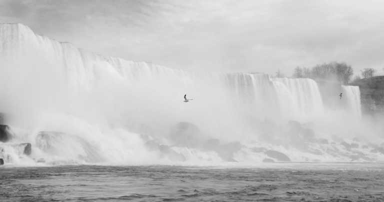 Canada - Niagara Falls - Enjoying the Wineries of Niagara SHARED ACCOMMODATION - 2