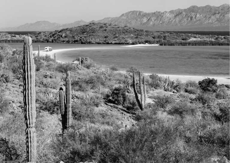 Mexiko - Peyote Experience Camping Trip into Wirikuta Desert, Mexico - JoinMyTrip