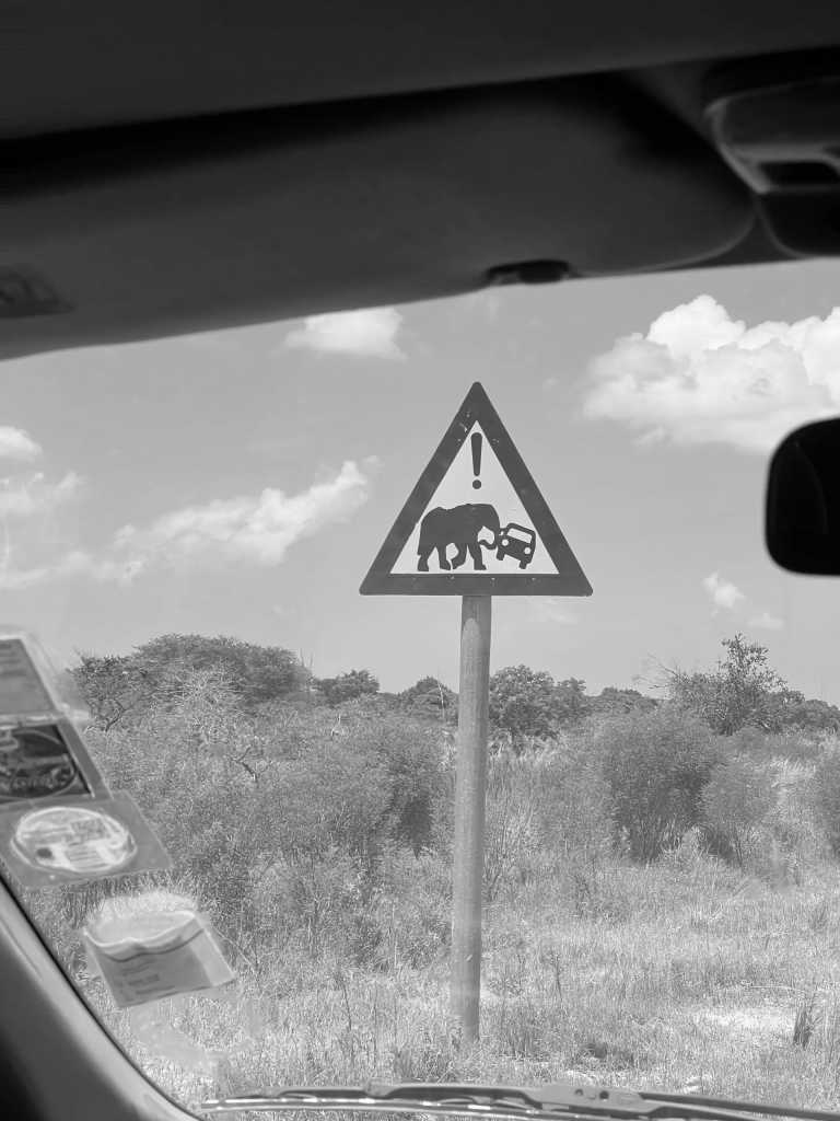 Sub-Saharan Africa - Flughafen O. R. Tambo - Echoes of the Wild: A Journey from Kruger's Big Five to Mozambique's Whale Wonders - 2