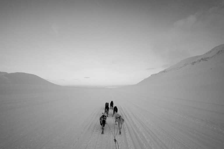 Svalbard - Longyearbyen - SVALBARD - THE NORTH IS CALLING