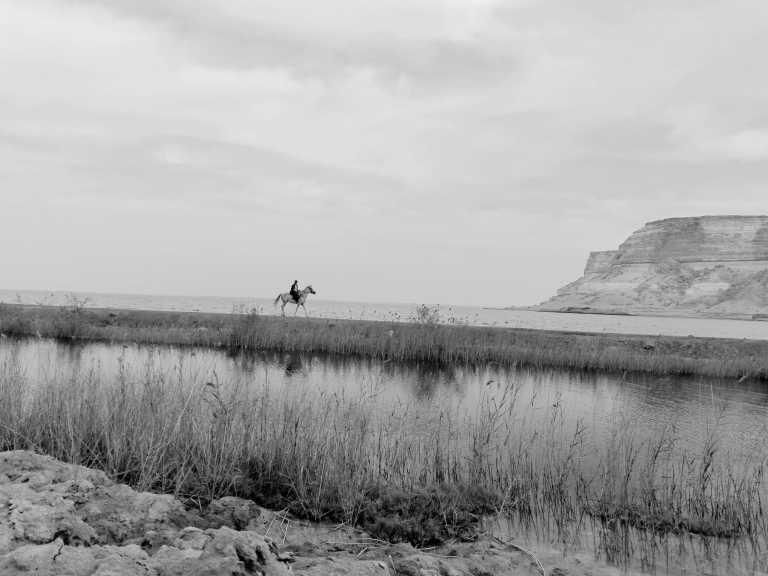 Egypt - Siwa Oasis Tour from Cairo, Egypt. - JoinMyTrip