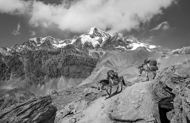 Nepal - Discover Nepal's wonders - Trek, Safari, and Culture - JoinMyTrip