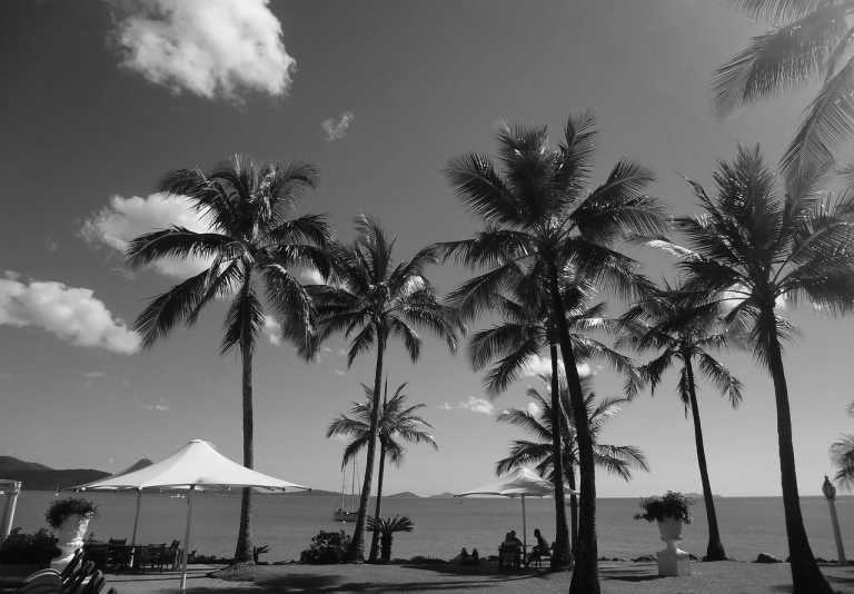 Australia - Airlie Beach - 🇦🇺Great Barrier Reef + Rainforest + Wildlife + Friends: Explore the Whitsundays - 3
