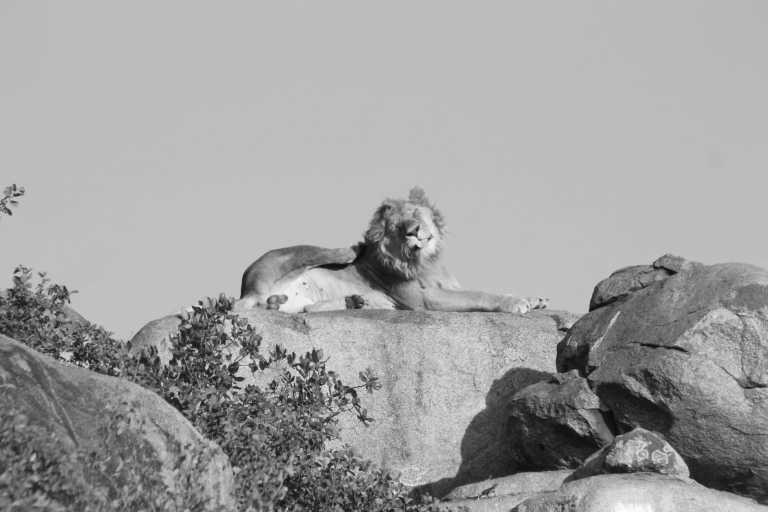 Tanzania - 6 Days Tanzania Safari to Lake Manyara, Serengeti and Ngorongoro Crater - JoinMyTrip