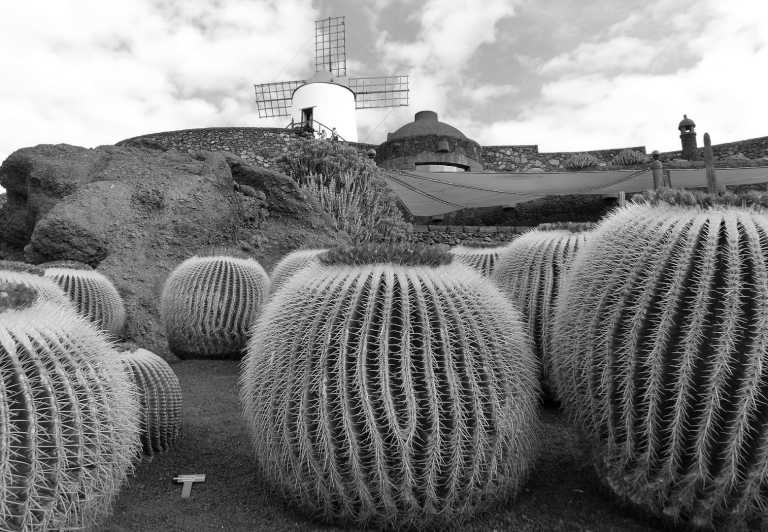 Spanien - Corralejo - Lanzarote Urlaub mit einem Van - Vulkane 🌋, Sonne☀, Wellen 🏝 & mehr - 3