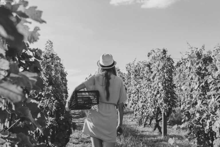 Spain - ALL INCLUSIVE Long weekend under the sun of Andalucia - Gastronomy, vineyard tour, outdoor activities and relaxing mountain views - JoinMyTrip