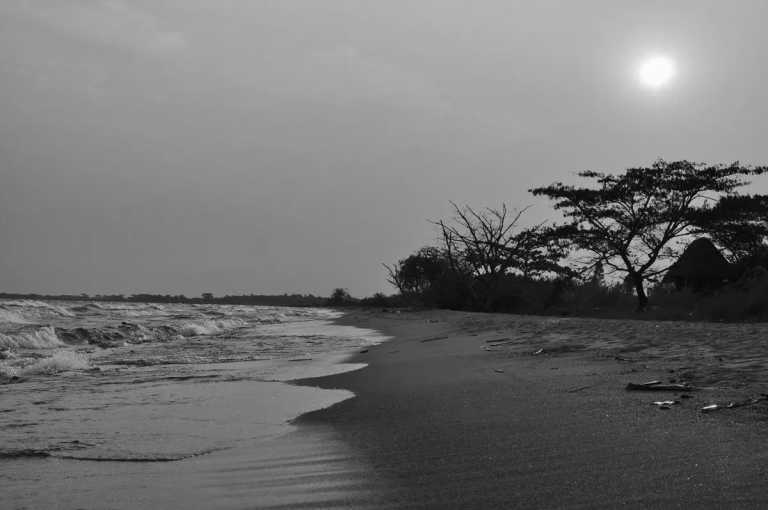 Burundi - Visit Burundi and Explore Off the Beaten Path - A Fun Group Adventure - JoinMyTrip