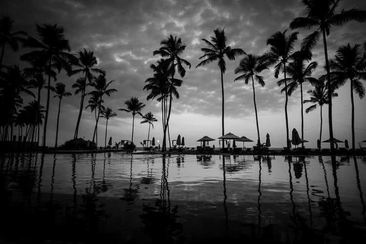 Sri Lanka - Negombo - 🌟 Magical Sri Lanka: From Ancient kingdoms to Dream Beaches 🐘🏞️🌺⛱️ - 1