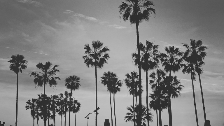 Vereinigte Staaten - California dreaming - JoinMyTrip