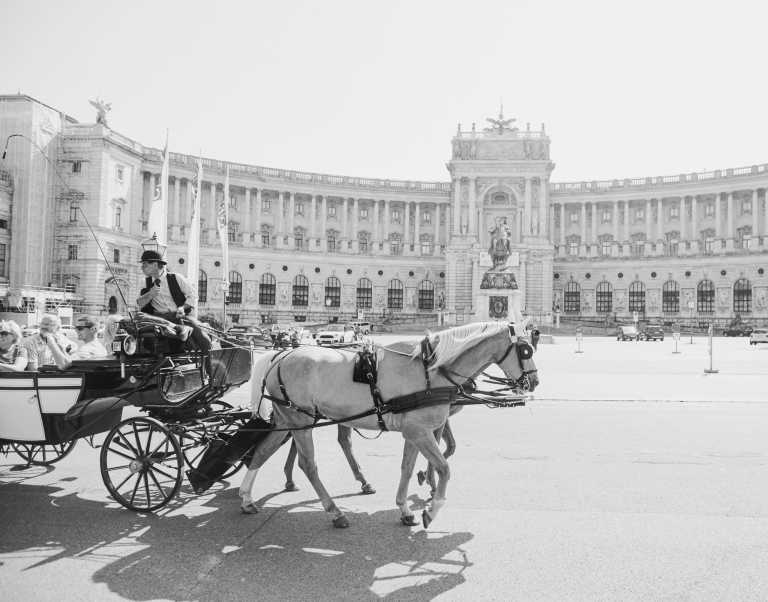 Austria - Vienna - Explore Vienna on the Weekend and meet Alpacas 🦙 - 1