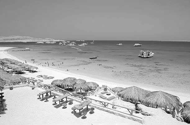 Egypt - New Year in Egypt with a Local at the beach in Hurghada 🏖 𓅓𓏲𓅓𓅓𓏭𓋴,   𓉔𓏲𓂋𓎼𓉔𓄿𓂧𓄿 🇪🇬. - JoinMyTrip