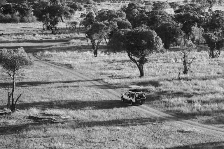 Tanzania - Arusha - 6 Days Tanzania Safari to Tarangire, Serengeti and Ngorongoro Crater