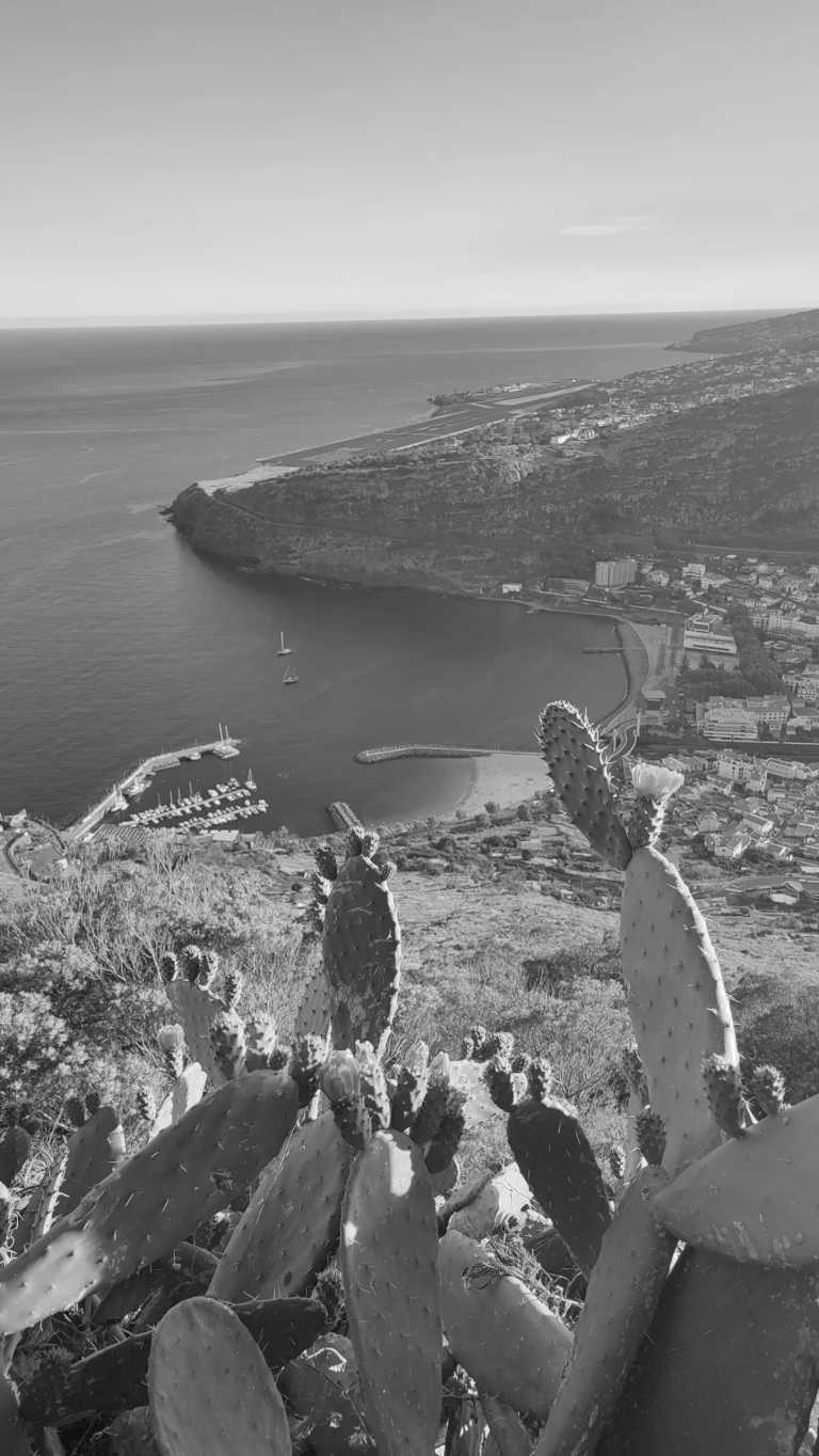 Portugal - Machico - 🏄🏽‍♀️Surf, Yoga & Hiking trip in beautiful island of Madeira, Portugal 🏝️ - 4