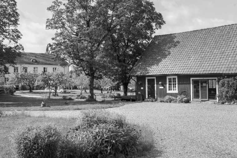 Sweden - Värmland - Yoga Volunteer Adventure 🚣🏡 at a Yoga Festival in Sweden 🧘‍♀️⛺️🌼