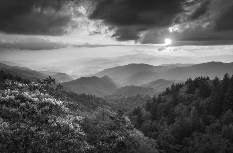 Vereinigte Staaten - 🍝 All-inclusive Luxury Smoky Mountain Cabin Escape (PRIVATE ROOM) 🏔 - JoinMyTrip