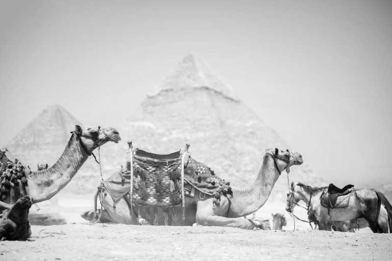 Ägypten - Cairo - Egypt New Year's Adventure - Pyramids, Glamping and Local Food!