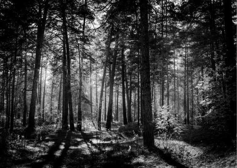 Latvia - Explore Riga, Latvia and nature around! - JoinMyTrip