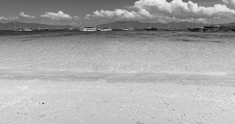 Indonesia - Pink Beach - A Sea Adventure to Komodo Island (Sailing, Pink beaches, and Komodo dragons)