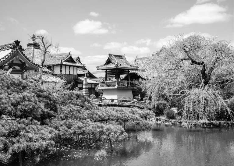 Japan - Driving Around Okayama, Japan: Enjoy the Autumn Leaves and Farm Stay, Travel Like a Local - JoinMyTrip