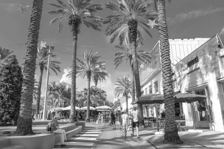 United States - South Beach - Surf, Street Art, wetlands forest & New Year's Eve in Miami - 2