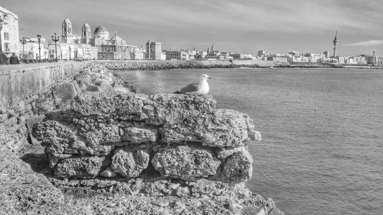 Southern Europe - Cádiz - Home office with ocean vibes in the South of Spain: private pool villa, barbeque and day trips to Seville & Gibraltar - 3