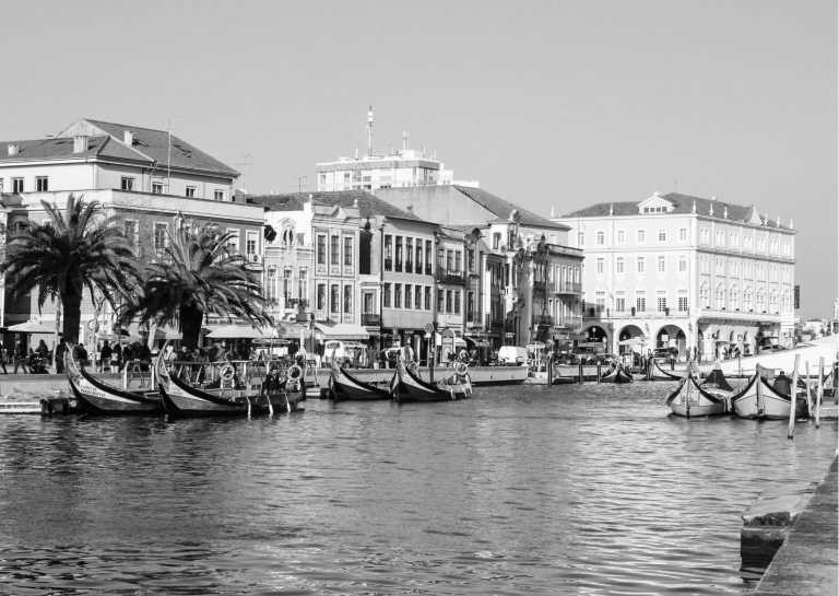 Portugal - Melodies and Flavours in Portugal: A cultural and Culinary Journey Through Porto, Aveiro and Coimbra - JoinMyTrip