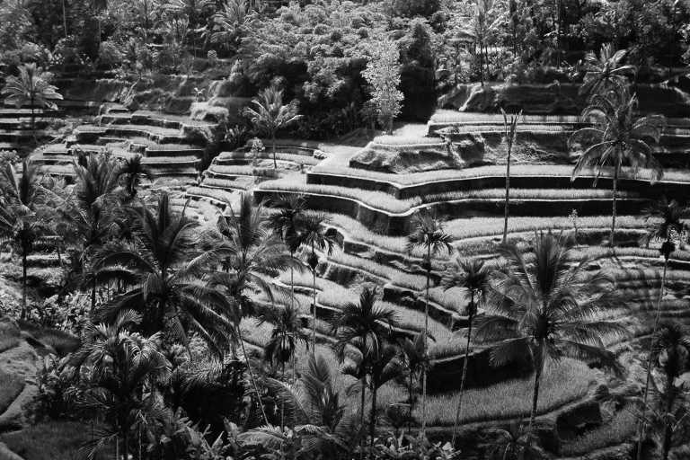 Indonesien - Ubud - Exotic & Luxury Bali retreat Trip ✨(With private driver)