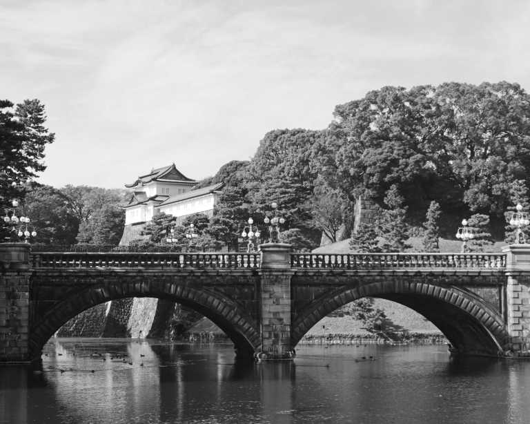 Japan - Tokyo - 🇯🇵 Tokyo, Nagoya, Kyoto: Hitachi Seaside Park, Tokyo Hidden Gems, Enchanted Mt Fuji, River Rafting and More! - 2