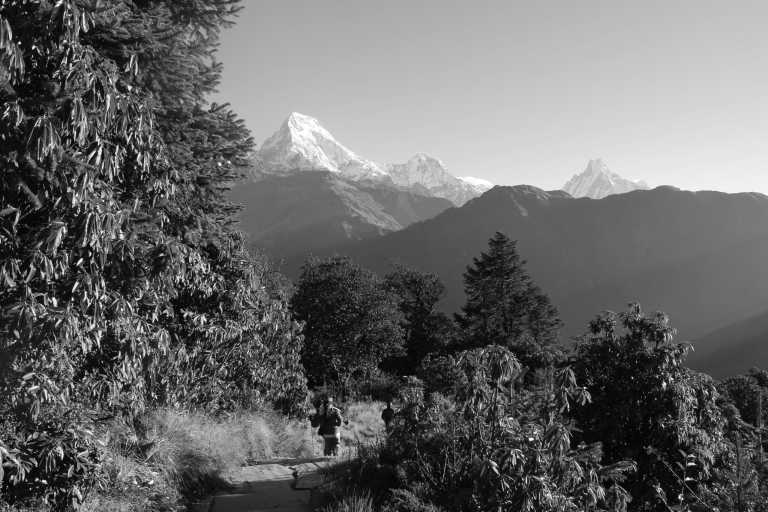 Nepal - Short Trekking In Nepal - Poon Hill, Natural Beauty, Himalayas, Sunrise, Temples | Hiking with Locals - JoinMyTrip