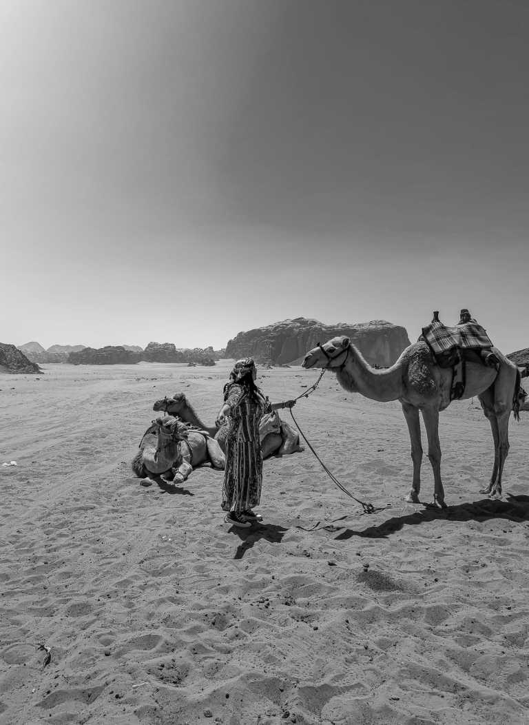 Jordan - Spring Adventure in Jordan - JoinMyTrip