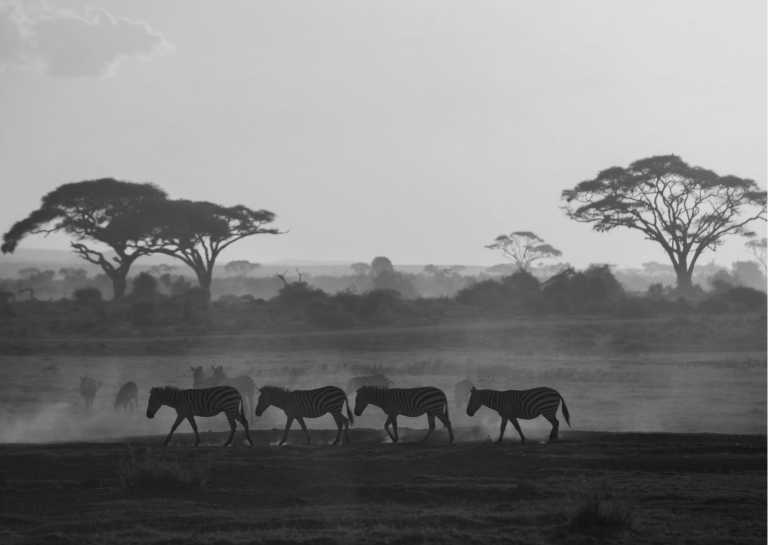 Kenya - 7-Day Safari Breathtaking in Kenya - JoinMyTrip