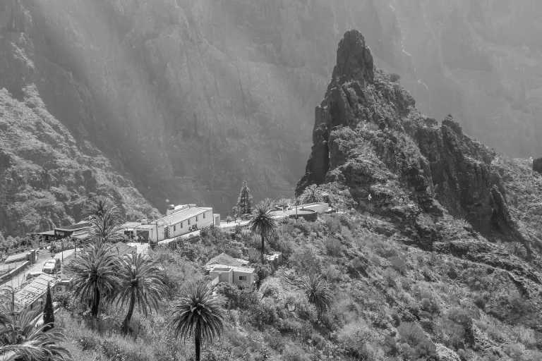 Spain - Sportreise auf Teneriffa – Sommer, Sonne, Strand und Sport in einer Villa 🌍🌞🏝️🏋🏻 - JoinMyTrip