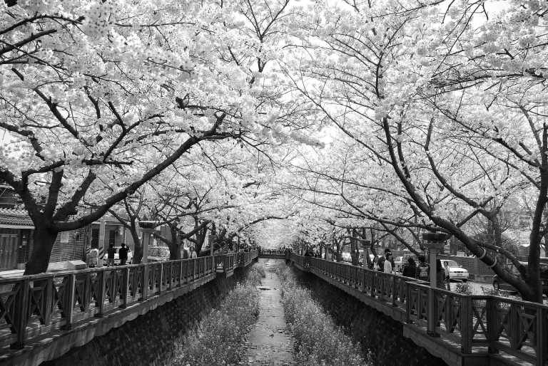 Korea, Süd - Busan - Highlights & K-Culture Adventure 2026