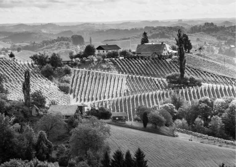 Italien - Monferrato Wine Weekend: Explore Italy's Enchanting Vineyards - JoinMyTrip