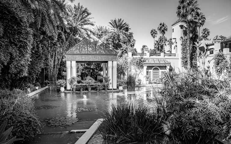 Morocco - Jardin Majorelle - Explore Marrakech Meknes and Fes with a Local - 1