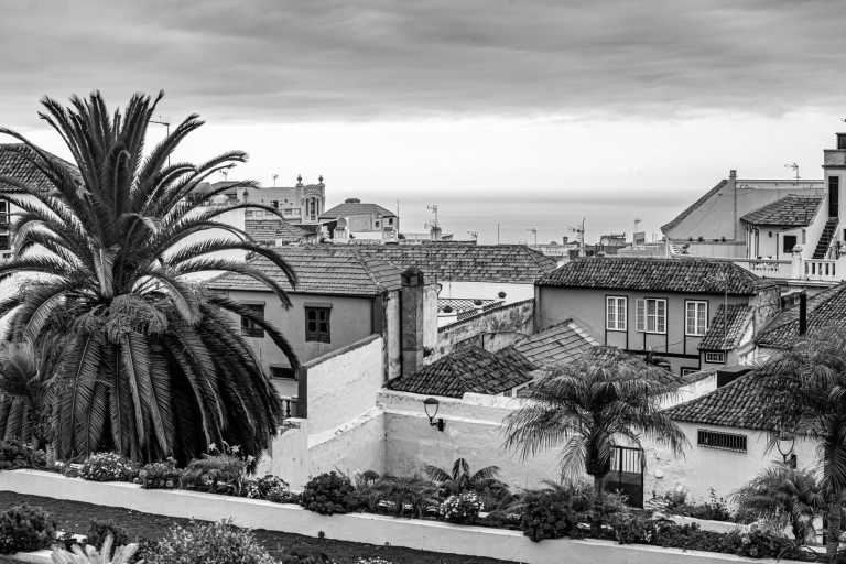 Spain - Tenerife - Exploring Tenerife with a Local - Getting the Authentic Experience - 1