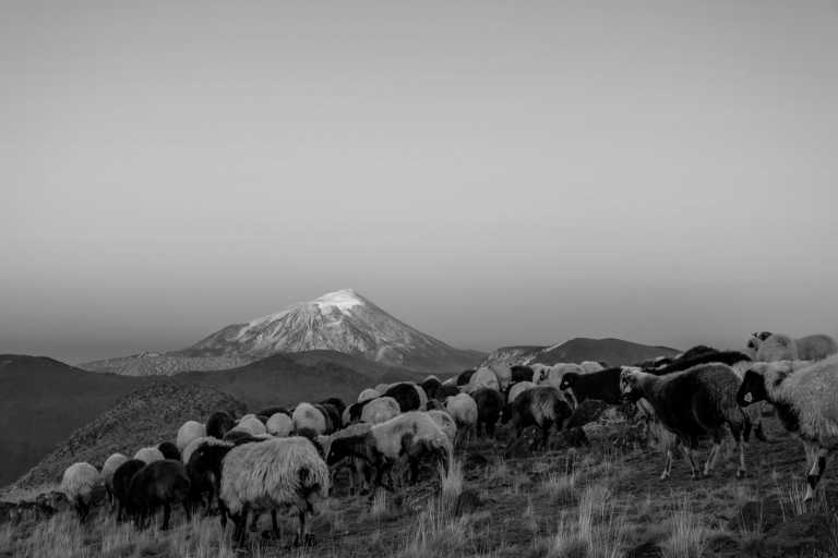 Turkey - Türkei Expedition - Ararat Besteigung 7 Tage - JoinMyTrip